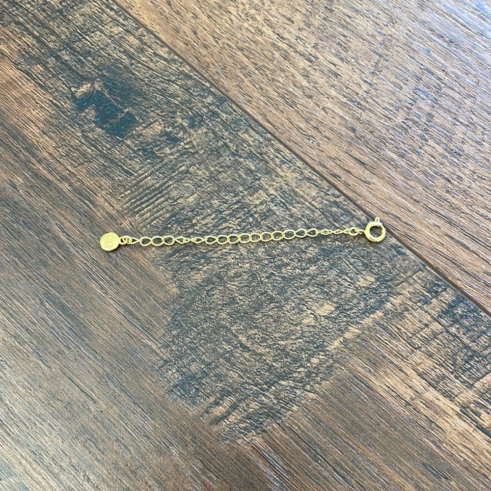 Gorjana Necklace Extension